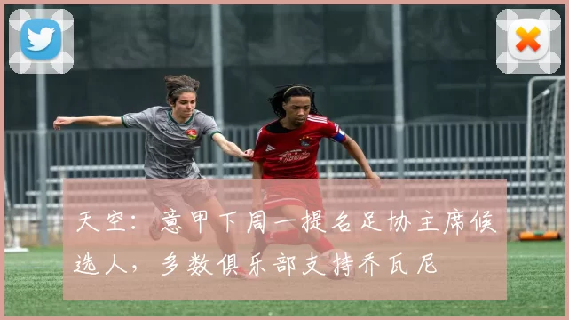 天空：意甲下周一提名足协主席候选人，多数俱乐部支持乔瓦尼