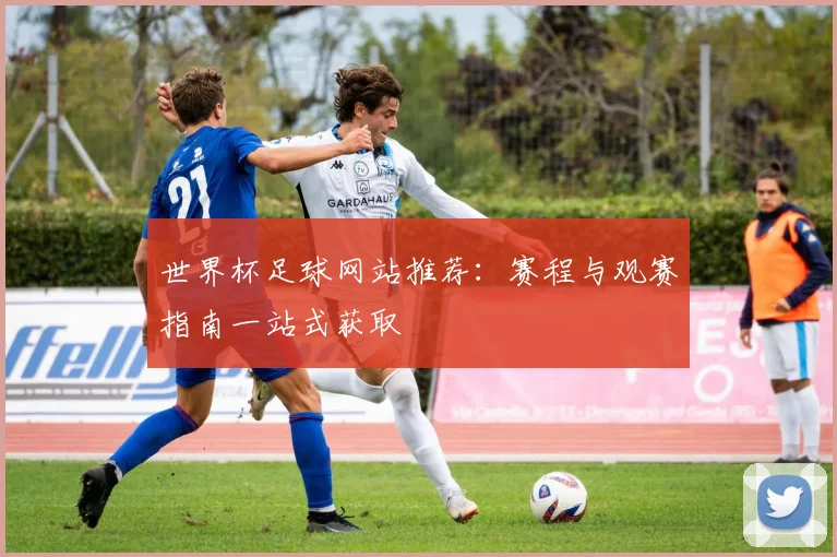世界杯足球网站推荐:赛程与观赛指南一站式获取