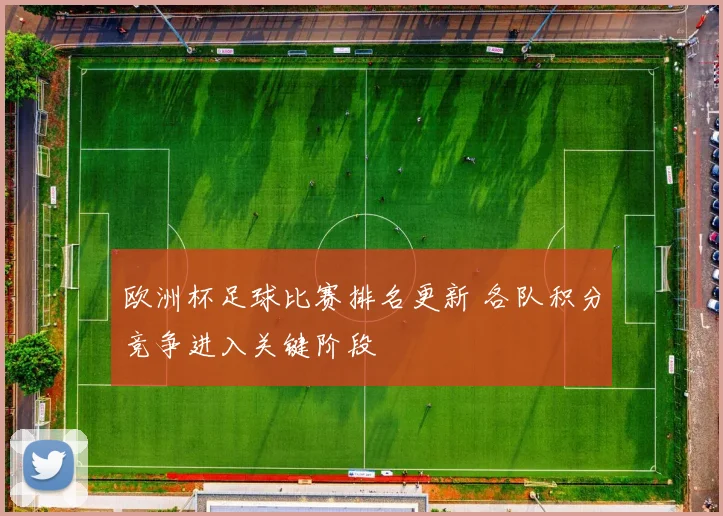 欧洲杯足球比赛排名更新 各队积分竞争进入关键阶段
